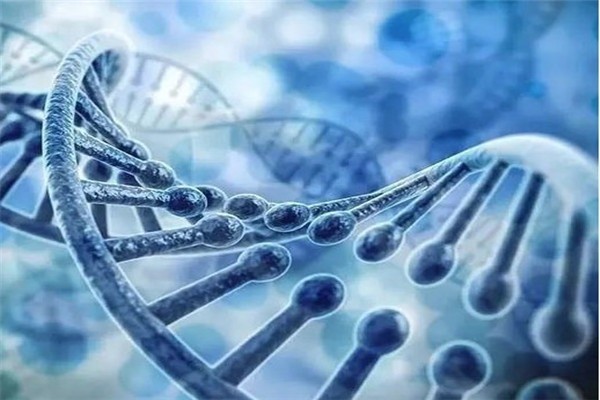 问基因基因检测